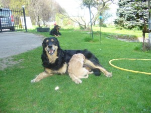 immer und überall Hunger