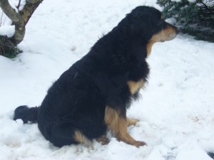 lieber sitzen als stehen, der Bauch zieht nach unten