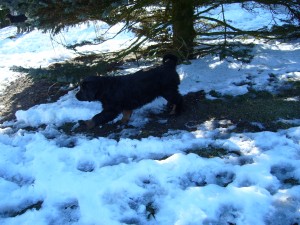 Donna auf Entdeckungsreise