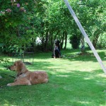 Dexter und Donna machen Pause