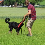 IMG_8442